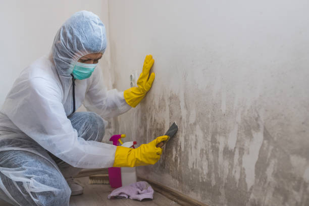 Best Crawl Space Mold Removal  in Defiance, OH