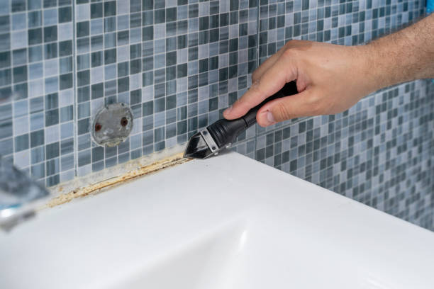 Best Local Mold Removal Service  in Defiance, OH